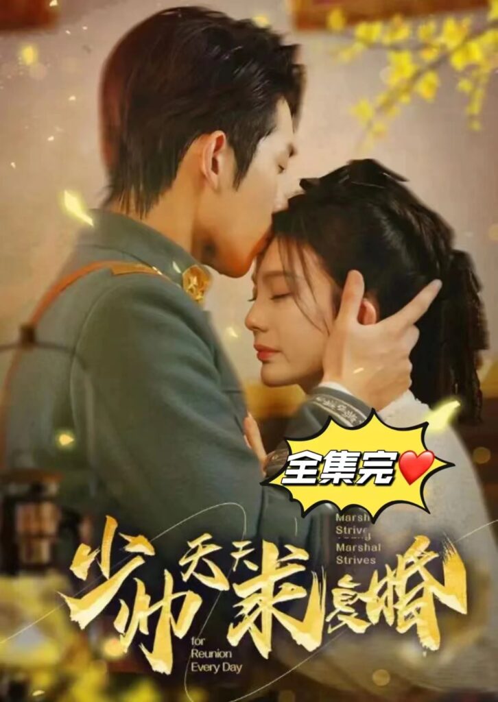 少帥天天求復(fù)婚