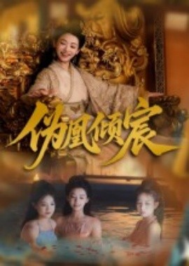 偽凰傾宸