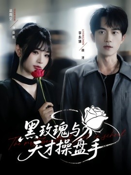 黑玫瑰与天才操盘手封面图