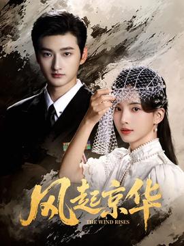 风起京华封面图