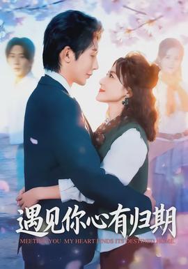 遇见你心有归期封面图