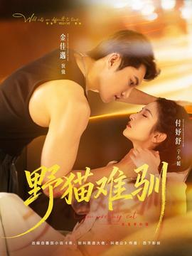 野猫难驯