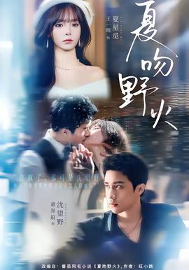 夏吻野火封面图