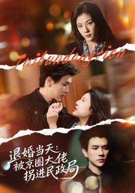 退婚当天：被京圈大佬拐进民政局封面图