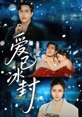 爱已冰封封面图