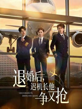 退婚后，迟机长他争又抢封面图