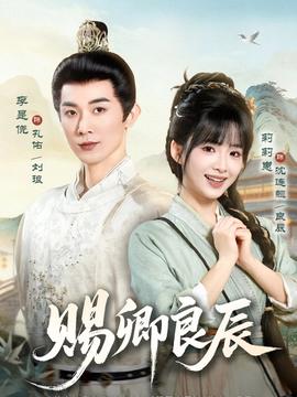 赐卿良辰封面图