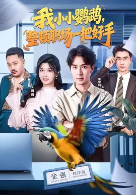 我小小鹦鹉，整顿职场一把好手封面图