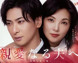 致亲爱的丈夫~完美妻子的谎言~封面图