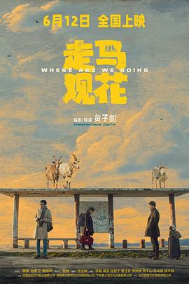 走马观花封面图