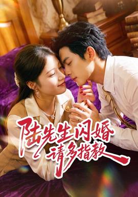 陆先生闪婚请多指教封面图
