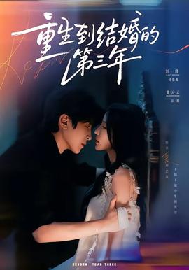 重生到结婚的第三年封面图
