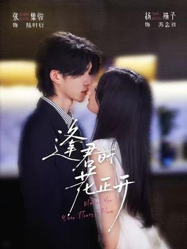 逢君时花正开封面图