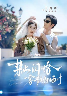 禁止闪婚，雾散归栖时封面图