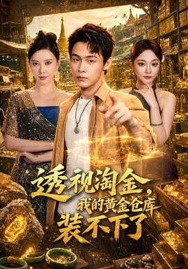 透视淘金，我的黄金仓库装不下了封面图