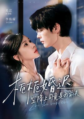 栀栀婚迟，空降上司竟是我前夫封面图