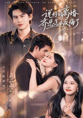 说好的离婚齐总怎么反悔了封面图