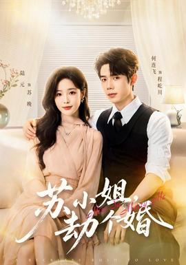 苏小姐,劫个婚