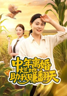 中年离婚，烂地助我赚翻天封面图