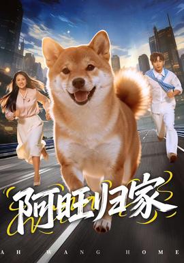 阿旺归家封面图