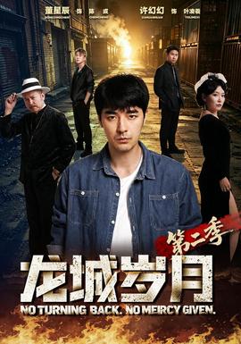 龙城岁月第二季